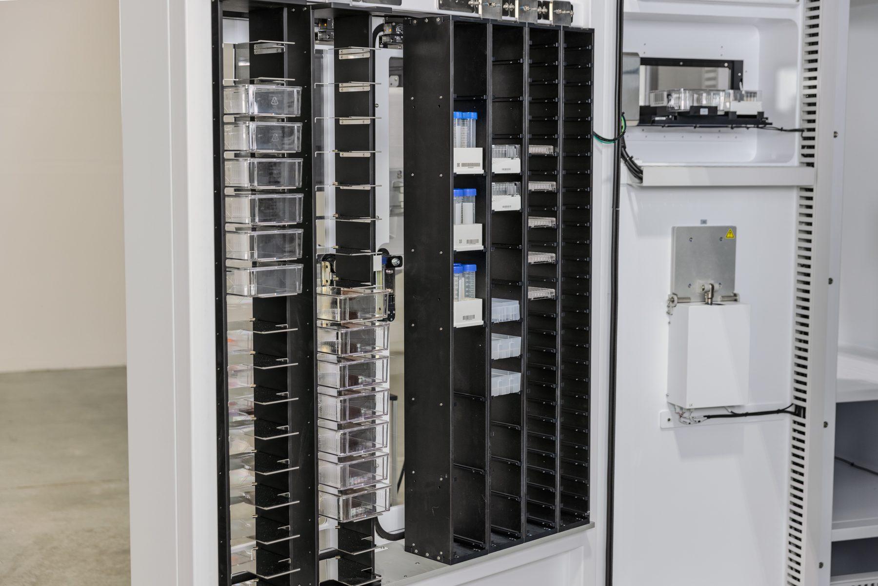 Parallel cell line maintenance